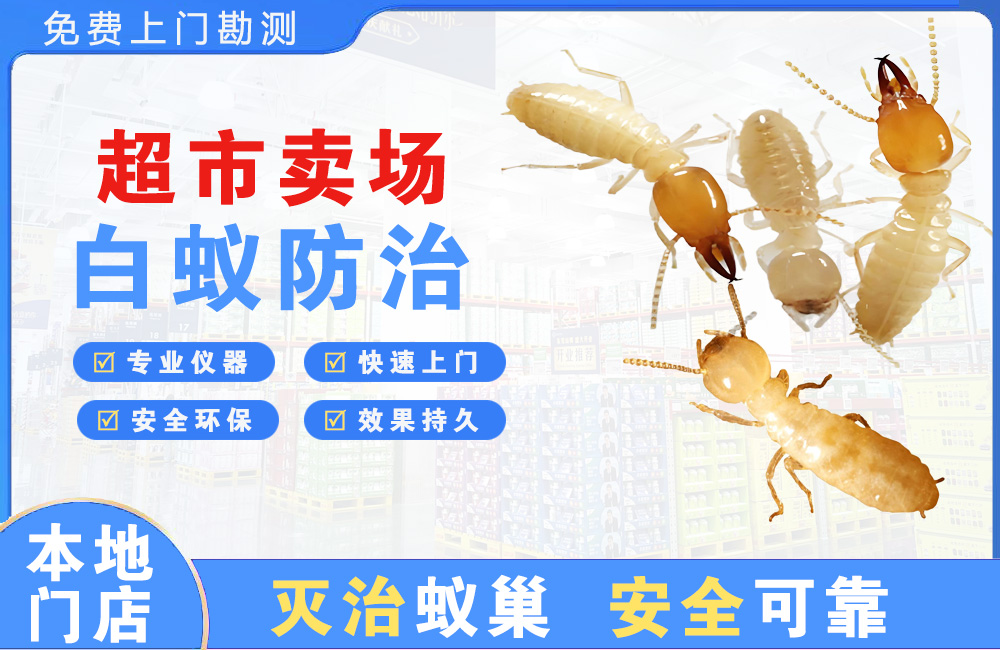 都江堰超市卖场白蚁防治