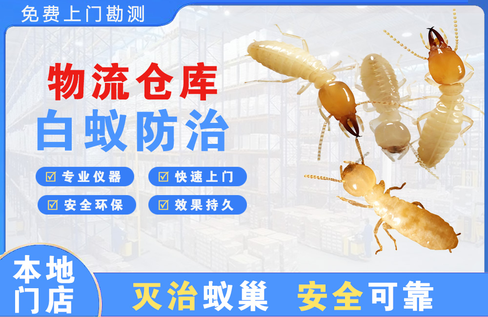 都江堰物流仓库白蚁防治