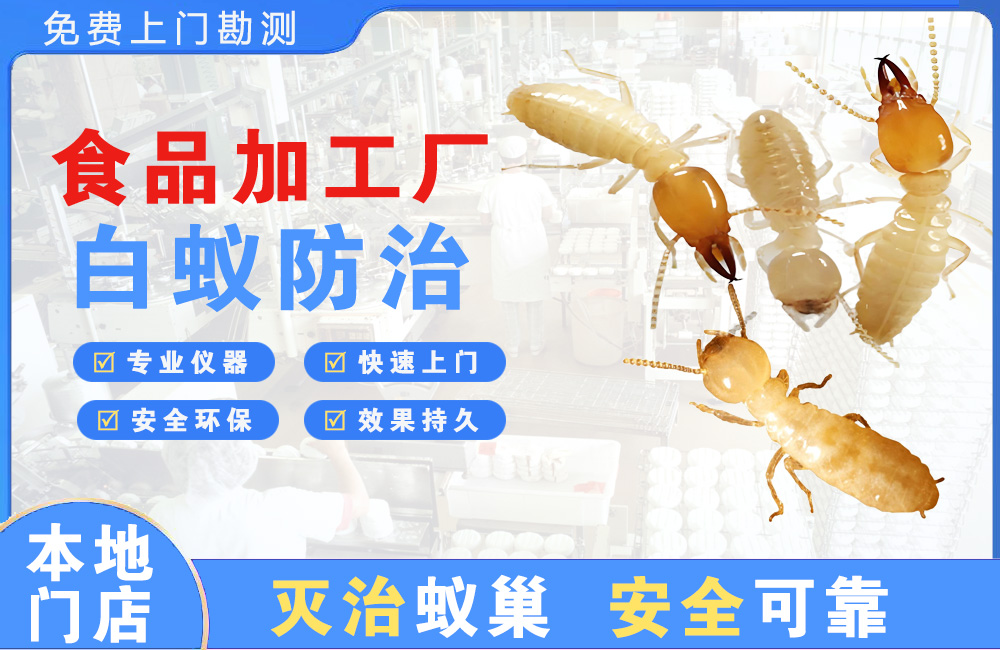 都江堰食品加工厂白蚁防治