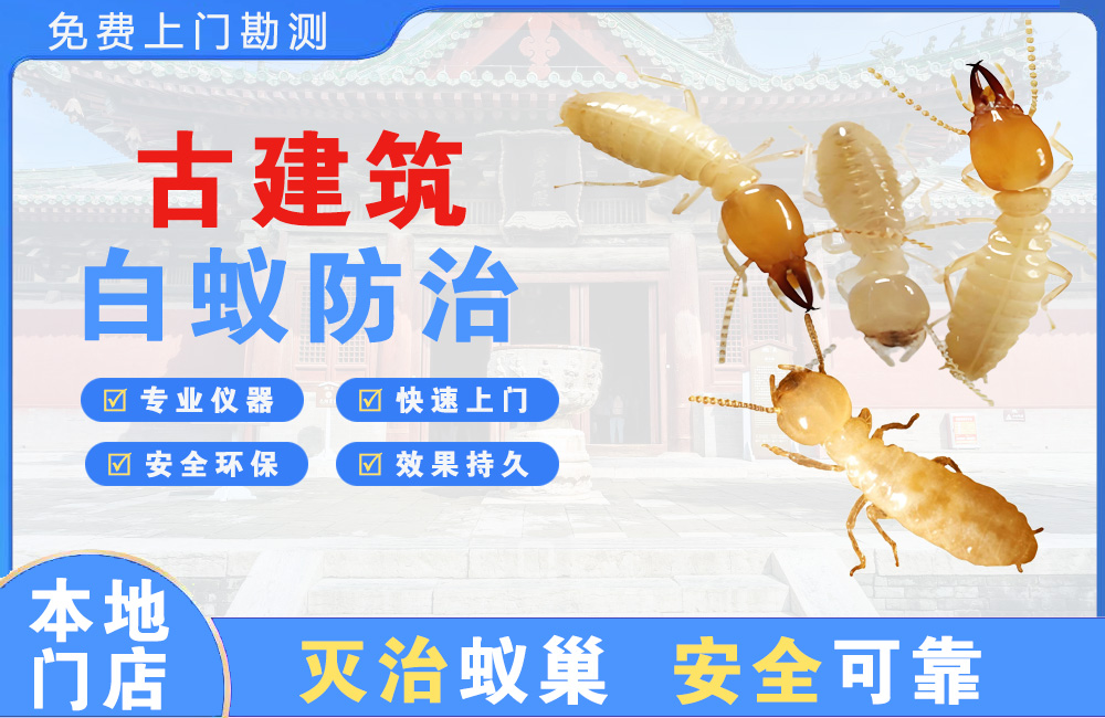 都江堰古建筑白蚁防治