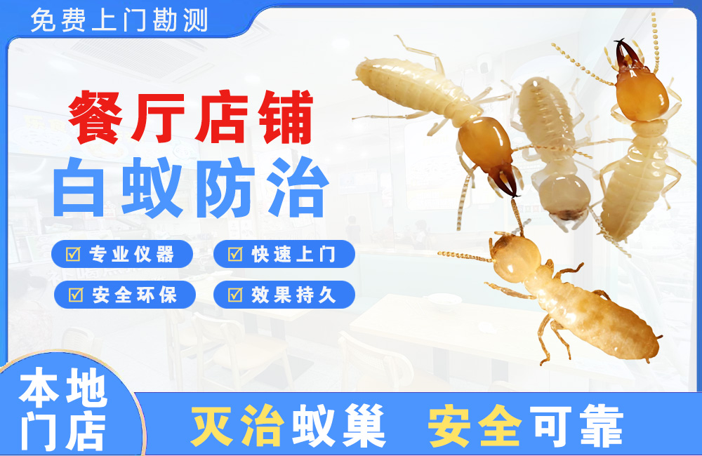 都江堰餐厅店铺白蚁防治